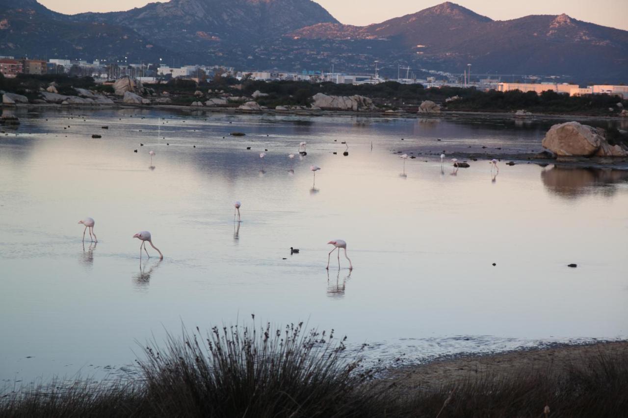 Magibac Due - Casa Vicino Aeroporto E Mater Olbia Apartman Kültér fotó